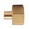 Apollo 3/4 in. Brass PEX Barb x 1 in. Female Pipe Thread Adapter APXFA34B1F - alternate 2